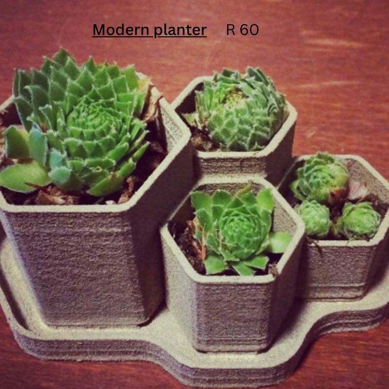 Modern Planter